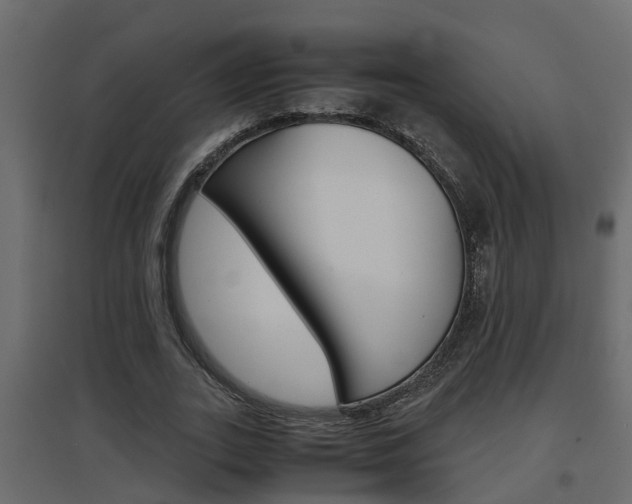 X0000094970727200711291137