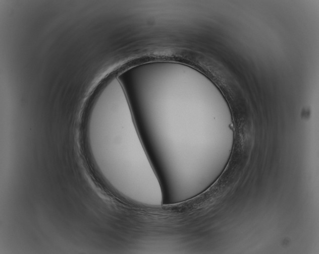 X0000094970728200711291137