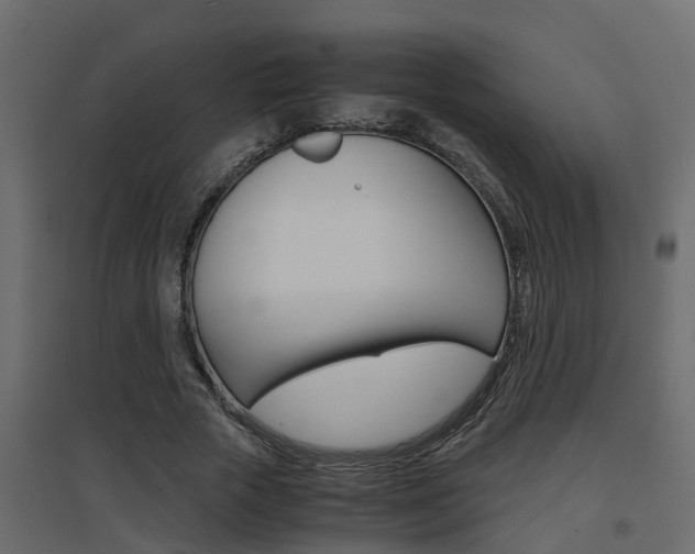 X0000094970729200711291137