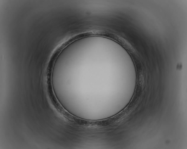 X0000094970730200711291137
