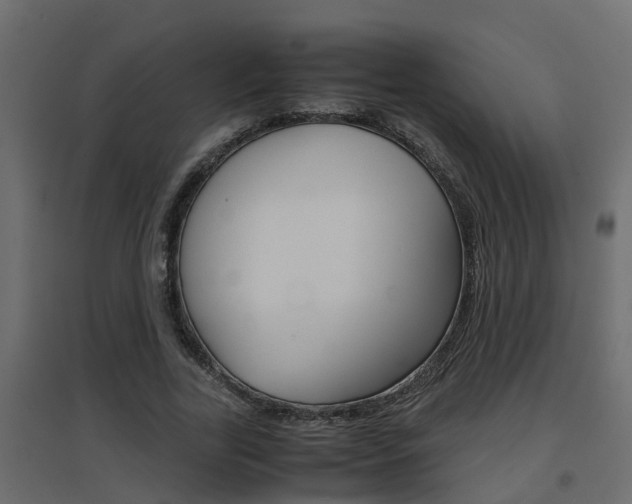 X0000094970731200711291137