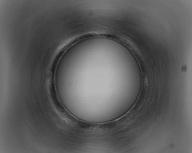 X0000094970732200711291137