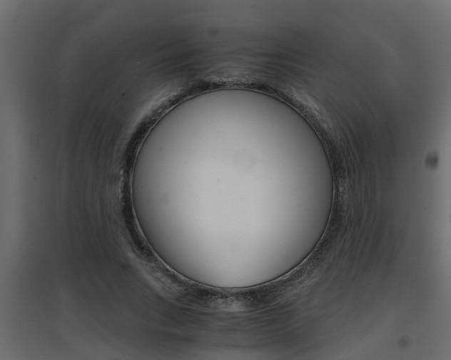 X0000094970735200711291137