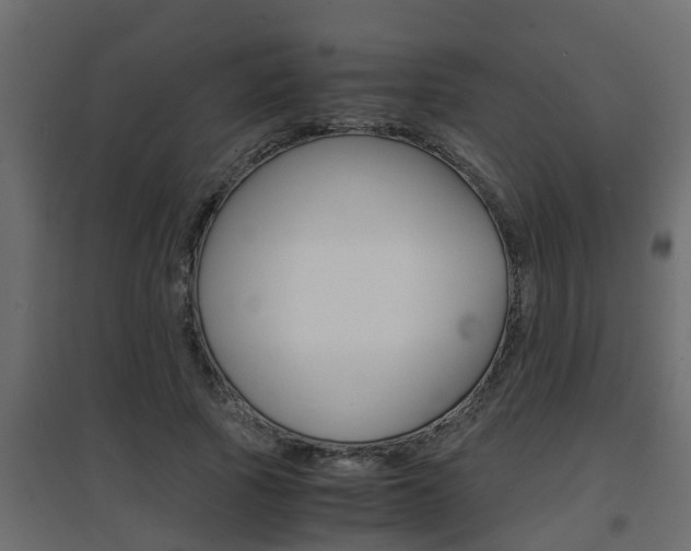 X0000094970737200711291137