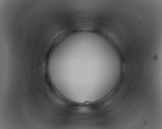 X0000094970741200711291137