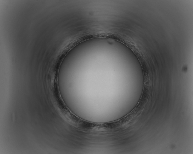 X0000094970742200711291137