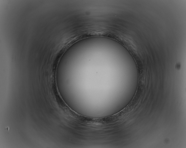 X0000094970743200711291137