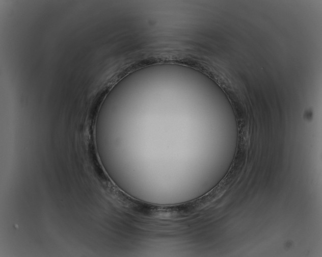 X0000094970746200711291137
