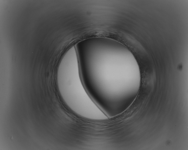 X0000094970748200711291137