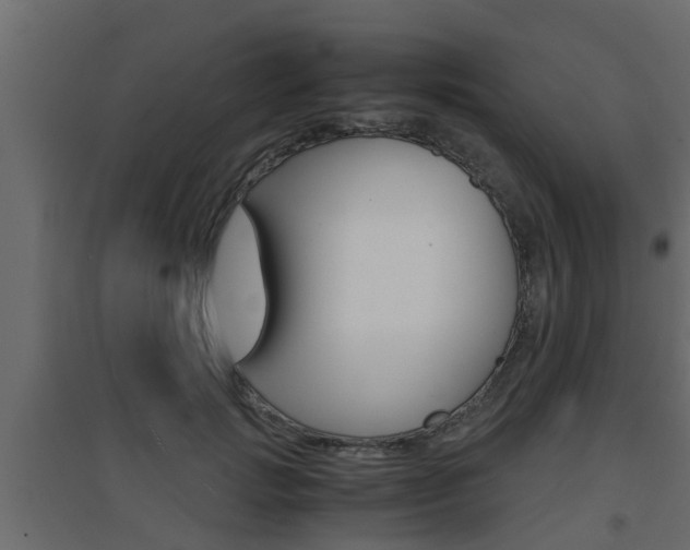 X0000094970749200711291137