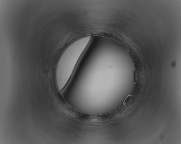 X0000094970750200711291137