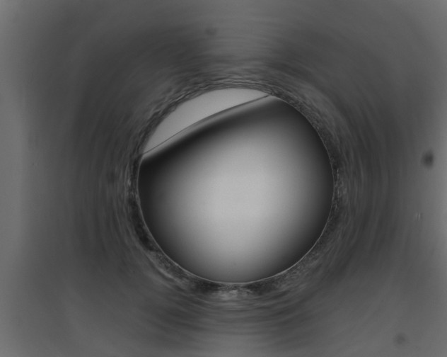 X0000094970752200711291137