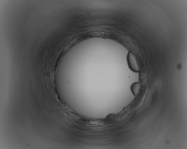 X0000094970753200711291137