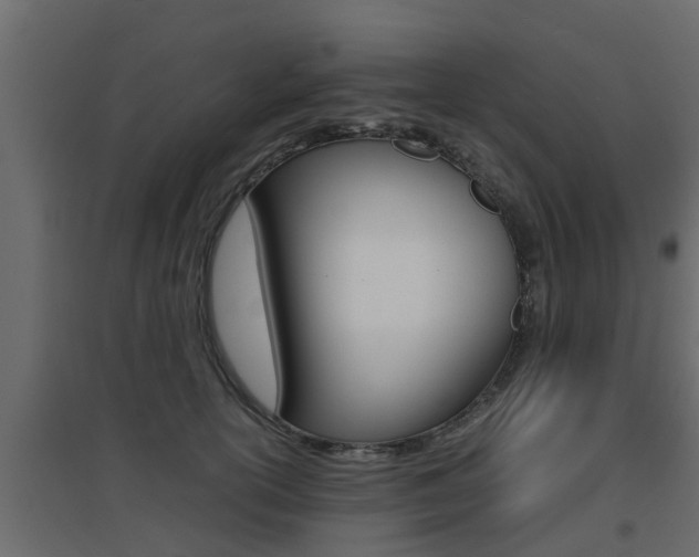 X0000094970754200711291137