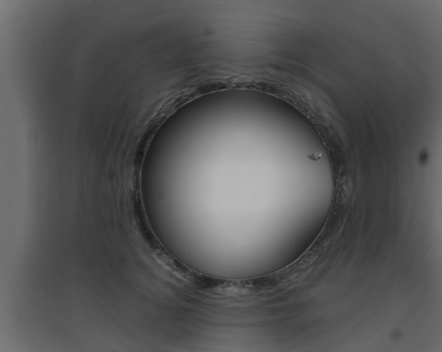 X0000094970756200711291137