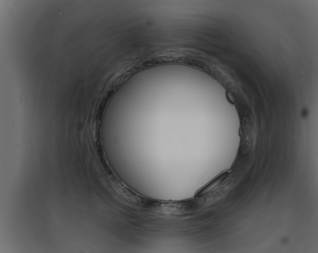 X0000094970758200711291137