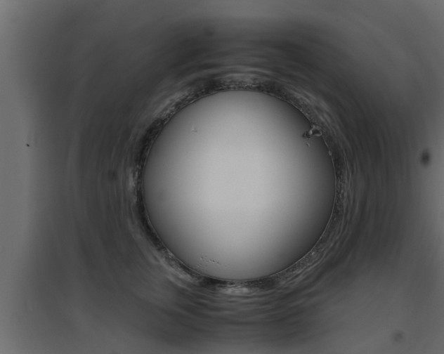 X0000094970759200711291137