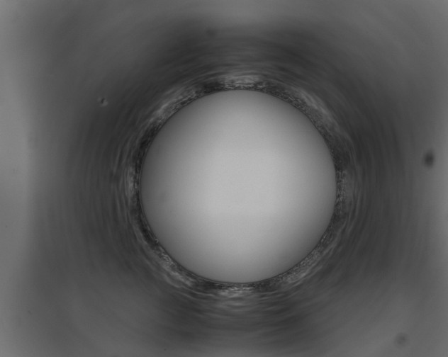 X0000094970761200711291138