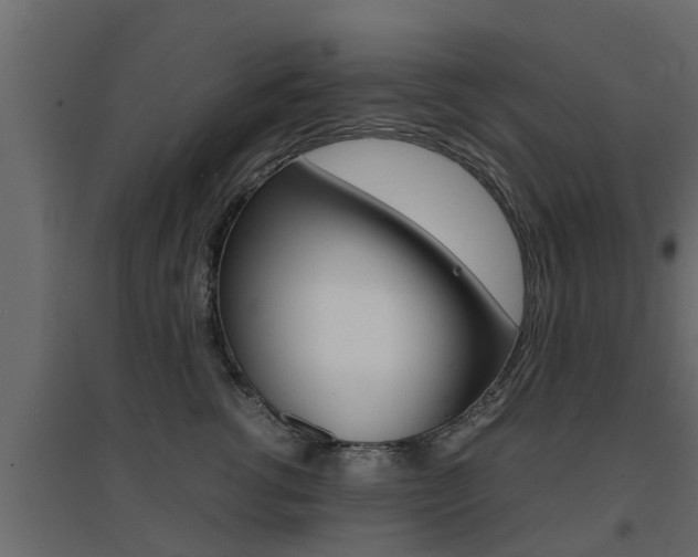 X0000094970762200711291138