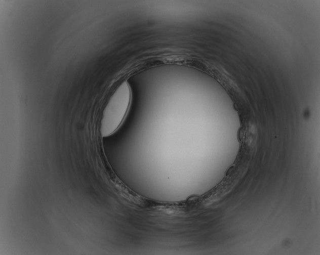 X0000094970763200711291138