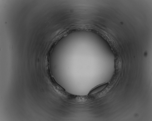 X0000094970764200711291138