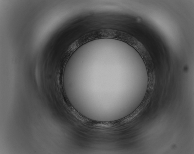 X0000094970765200711291138
