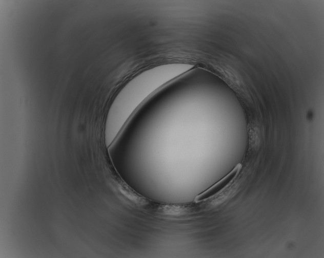 X0000094970766200711291138