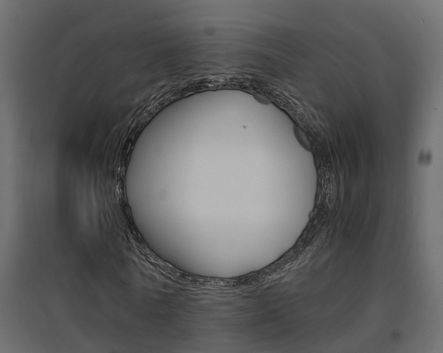 X0000094970770200711291137