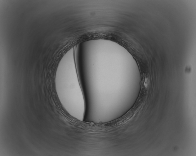 X0000094970771200711291137