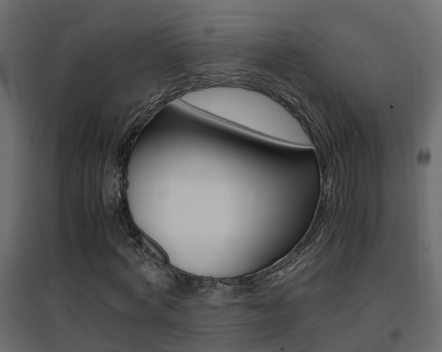 X0000094970772200711291137