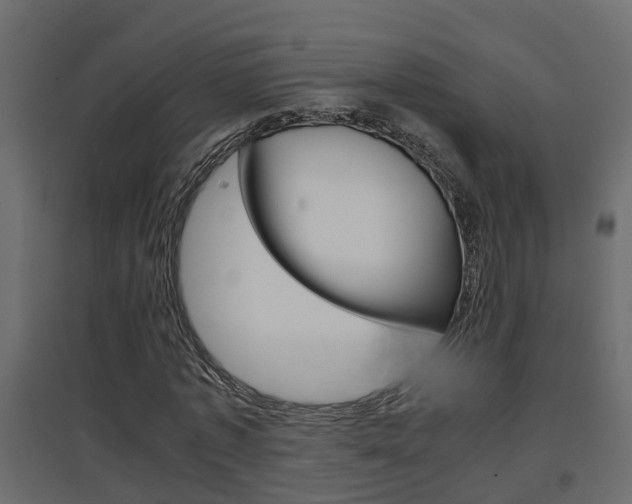X0000094970773200711291137