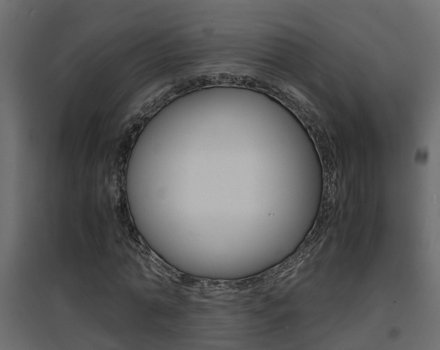 X0000094970774200711291137