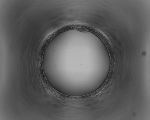 X0000094970775200711291137
