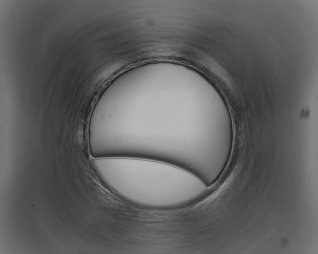 X0000094970777200711291137