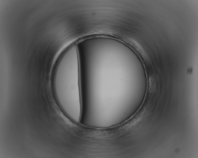 X0000094970780200711291137