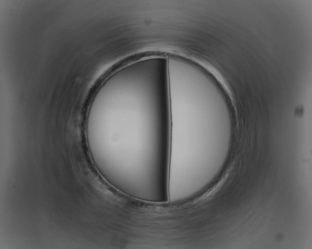 X0000094970783200711291137