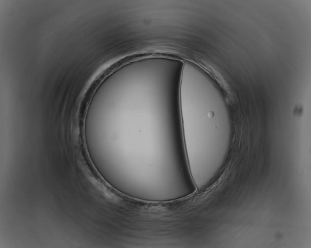 X0000094970784200711291137