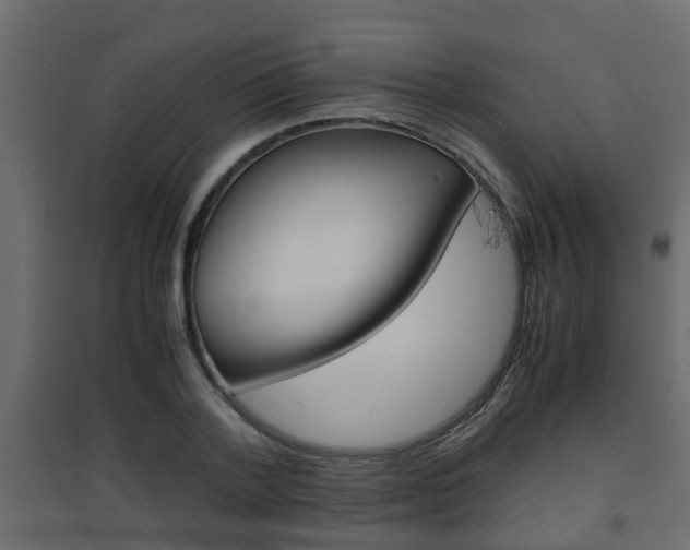 X0000094970788200711291137