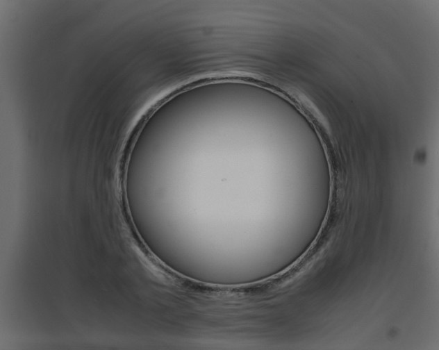 X0000094970789200711291136