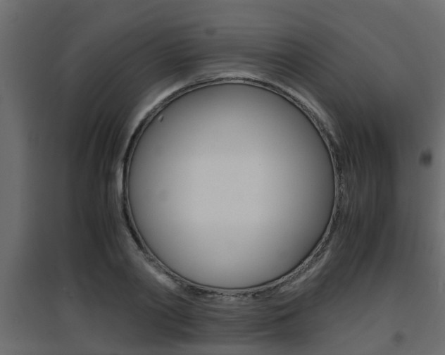 X0000094970790200711291136