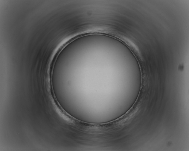 X0000094970792200711291136