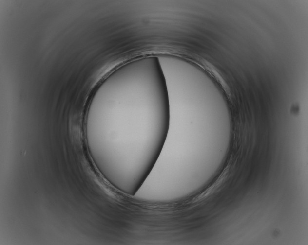 X0000094970794200711291136