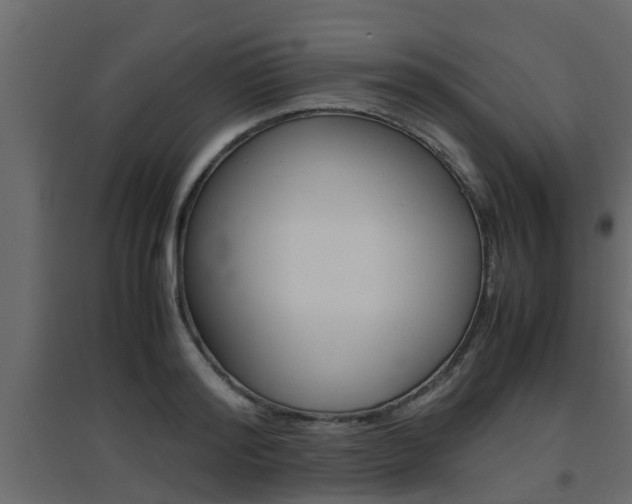 X0000094970796200711291136