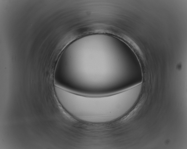 X0000094970801200711291136