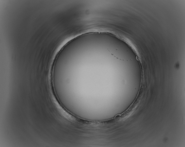 X0000094970803200711291136