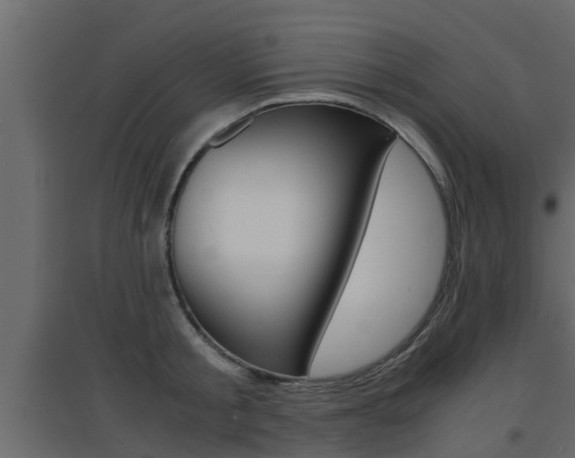 X0000094970805200711291136