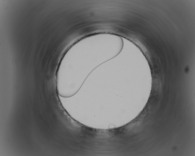 X0000094970807200711291136