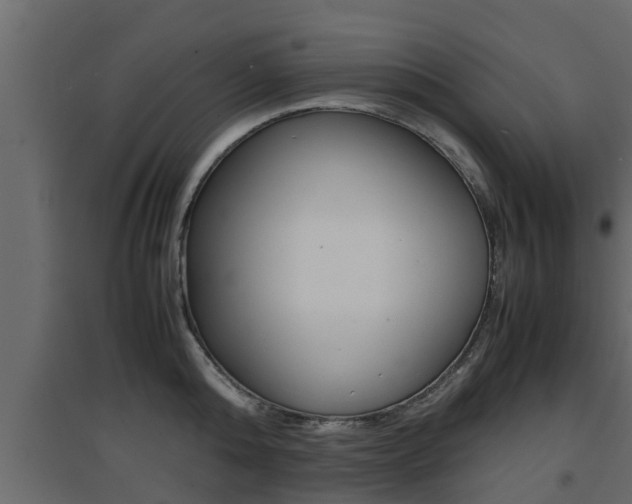 X0000094970808200711291136