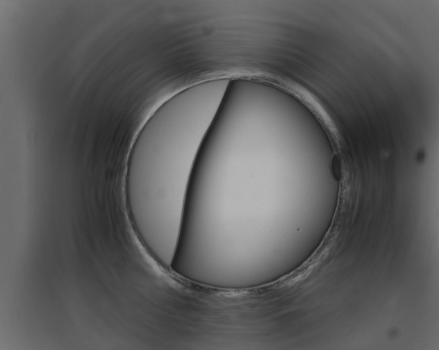 X0000094970810200711291136