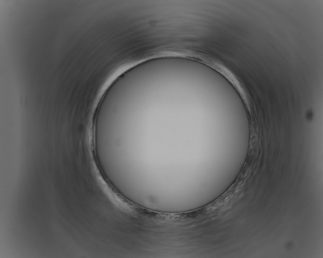 X0000094970811200711291136